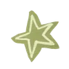 🌟
