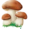 🍁