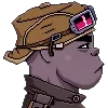 🦍