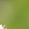 🤩