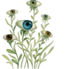 👁