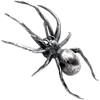 🕷️