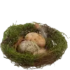 🪺