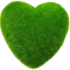 💚