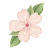 🌸