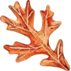 🍁
