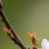 🤩