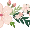 🌸