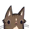 🐱