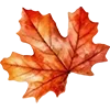 🍁