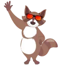 🦝