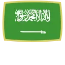 🇸🇦
