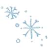 ❄