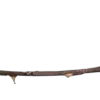 🤩