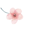 🌸