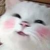 ☺️