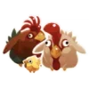 🐥