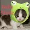 🐱