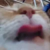 😱