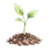 🌱