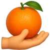 🍊