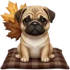 🐶