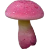 🍄