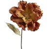 🌷