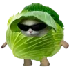 😎