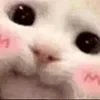 😊