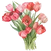 🌷