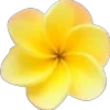🌼