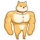💪