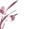 🌸
