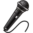 🎤