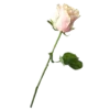 🌹