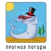 😎