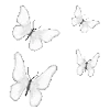 🦋