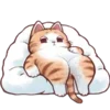 🐱