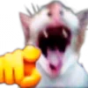 🫵