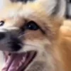 😃