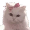 🎀
