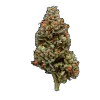🥦
