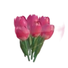 🌷