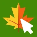 🍁