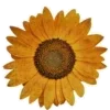💛