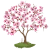 🌸