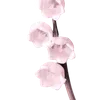 🌸
