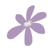 🌸
