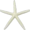 ⭐️